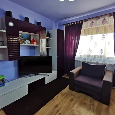 Apartament Florescu Apartment *